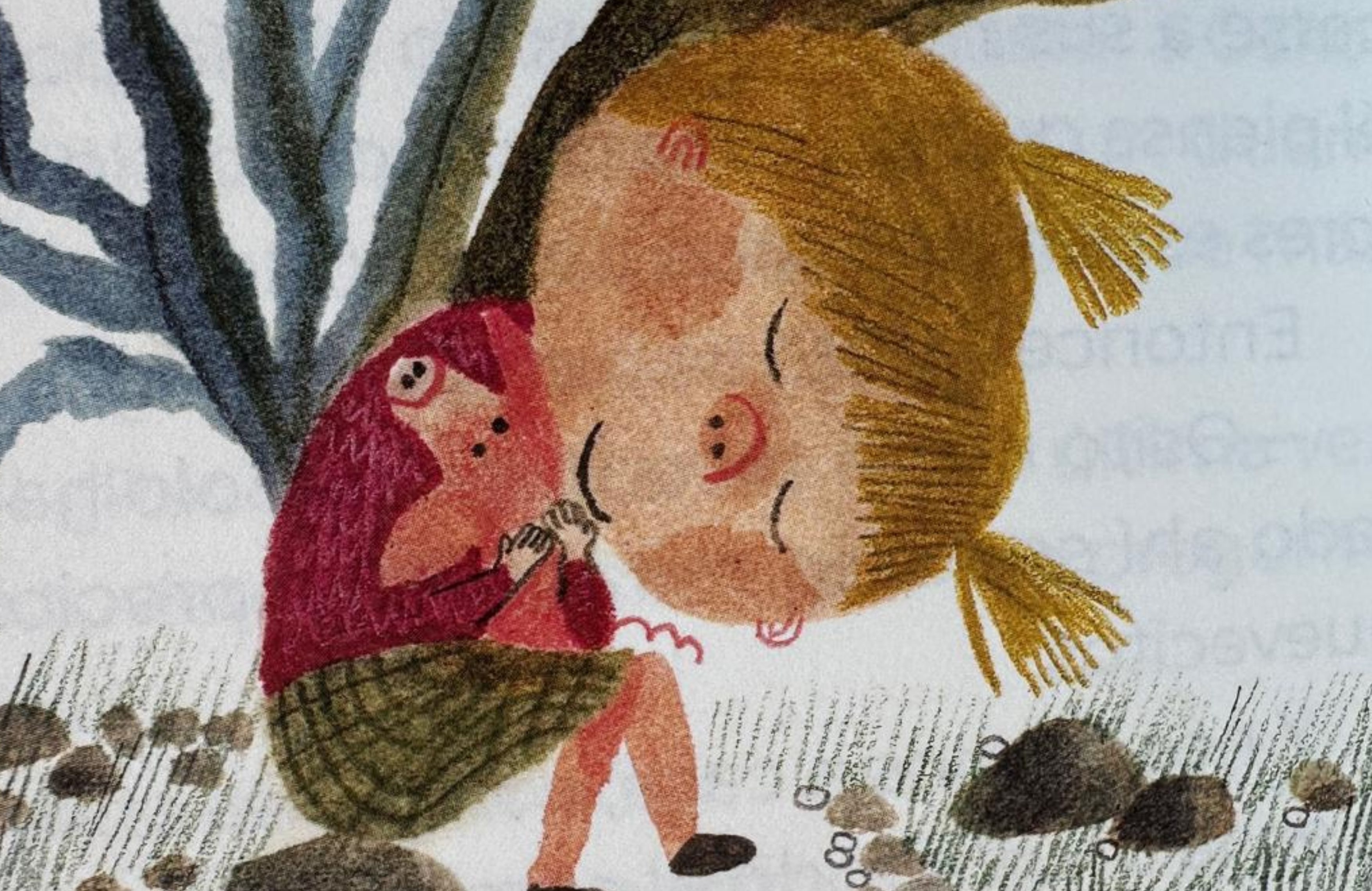 Interior libro Lotta Aborota
