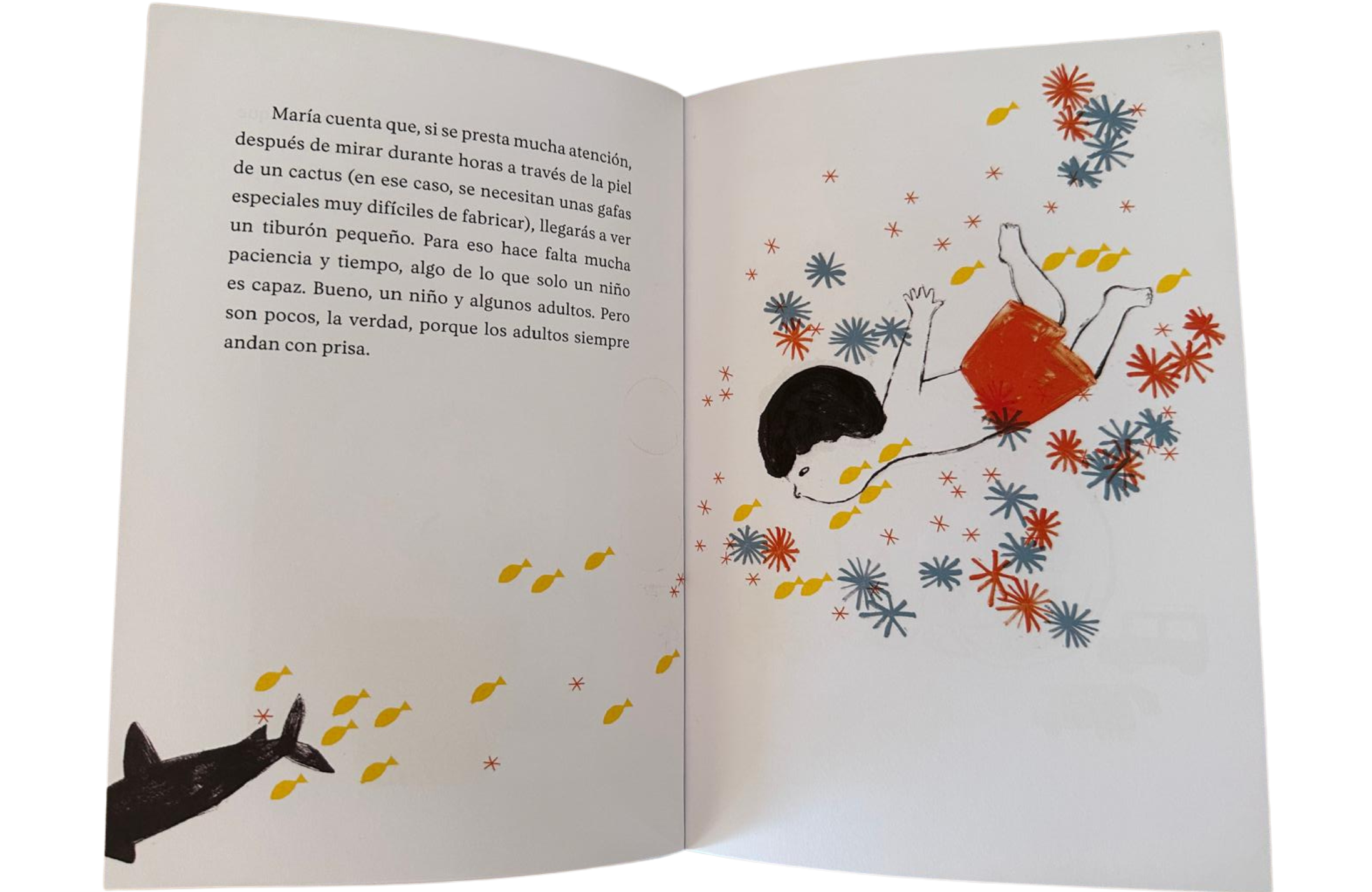 interior libro Otto y Pincho de Uxue Juárez y Neus Caamaño