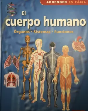 EL CUERPO HUMANO