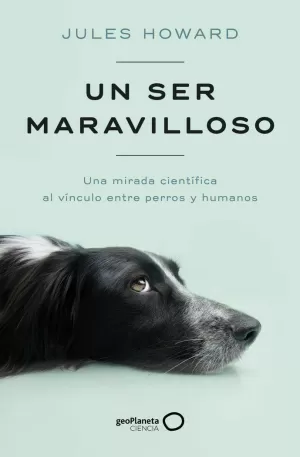 UN SER MARAVILLOSO UN SER MARAVILLOSO