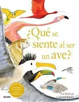 ¿QUÉ SE SIENTE AL SER UN AVE?