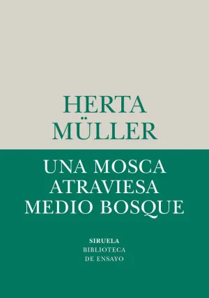 UNA MOSCA ATRAVIESA MEDIO BOSQUE