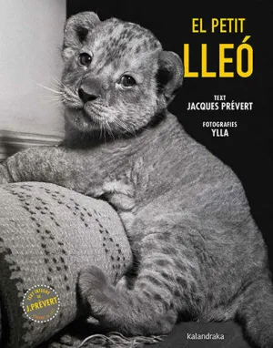 EL PETIT LLEÓ