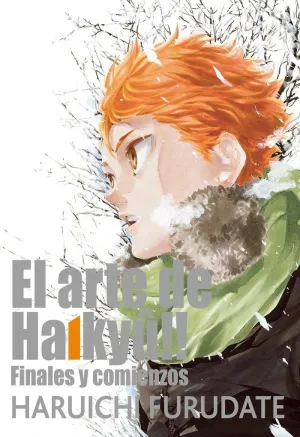 HAIKYU THE COMPLETE ILLUSTRATION BOOK HAIKYU THE COMPLETE ILLUSTRATION BOOK