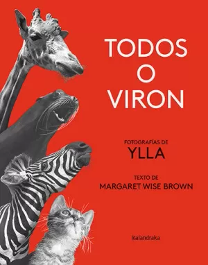TODOS O VIRON TODOS O VIRON