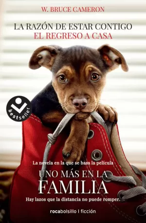 LA RAZÓN DE ESTAR CONTIGO. EL REGRESO A CASA 1 - EL REGRESO A CASA