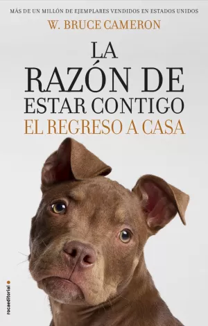 LA RAZÓN DE ESTAR CONTIGO. EL REGRESO A CASA 1 - EL REGRESO A CASA