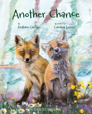 ANOTHER CHANCE