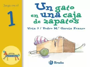 UN GATO EN UNA CAJA DE ZAPATOS