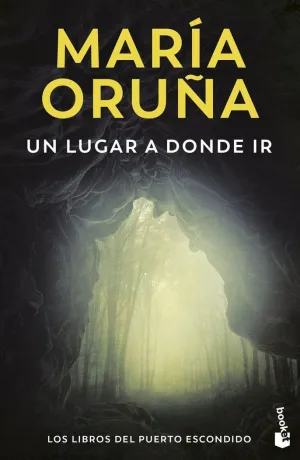 UN LUGAR A DONDE IR LOS LIBROS DEL PUERTO ESCONDIDO