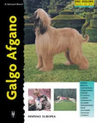 GALGO AFGANO
