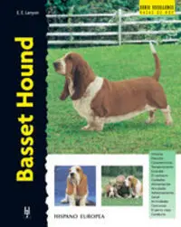 BASSET HOUND