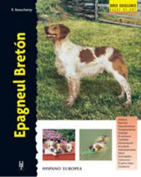 EPAGNEUL BRETON