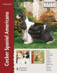 COCKER SPANIEL AMERICANO