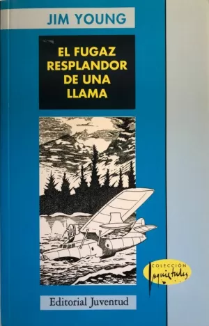 EL FUGAZ RESPLANDOR DE UNA LLAMA EL FUGAZ RESPLANDOR DE UNA LLAMA