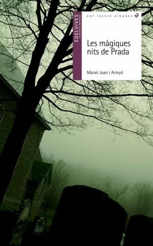 LES MÀGIQUES NITS DE PRADA