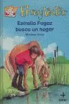 ESTRELLA FUGAZ BUSCA UN HOGAR