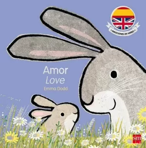 AMOR. LOVE AMOR. LOVE