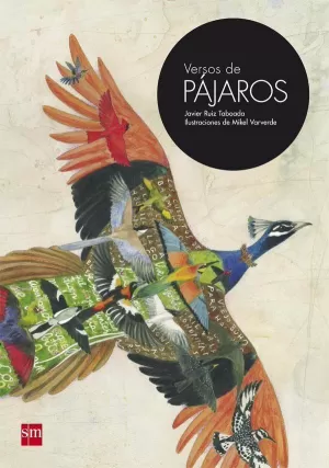 VERSOS DE PÁJAROS VERSOS DE PÁJAROS