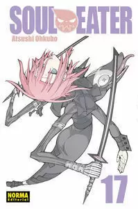 SOUL EATER 17