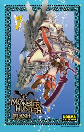 MOSTER HUNTER FLASH! 07
