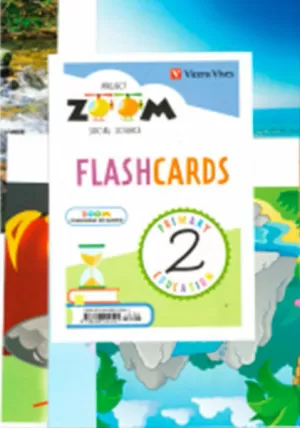 SOCIAL SCIENCE 2 MADRID FLASHCARDS (ZOOM)