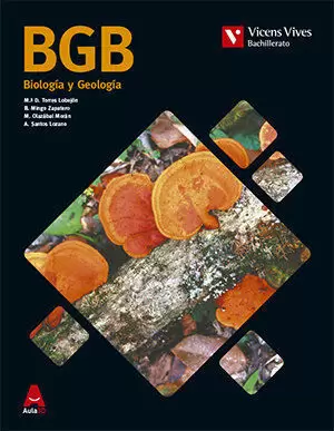 BGB (BIOLOGIA Y GEOLOGIA BACH) AULA 3D