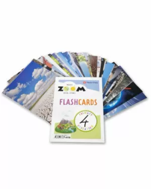 SOCIAL SCIENCE 4 FLASHCARDS (ZOOM)