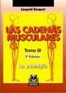 CADENAS MUSCULARES, LAS (TOMO III).LA PUBALGIA