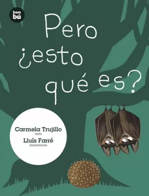 PERO ¿ESTO QUÉ ES?