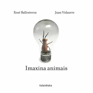 IMAXINA ANIMAIS