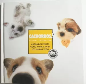 CACHORROS