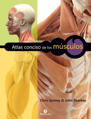 ATLAS CONCISO DE LOS MÚSCULOS (COLOR)