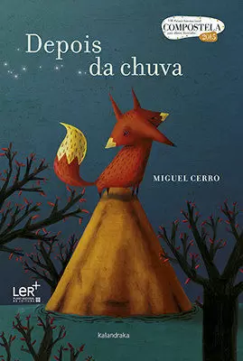 DEPOIS DA CHUVA